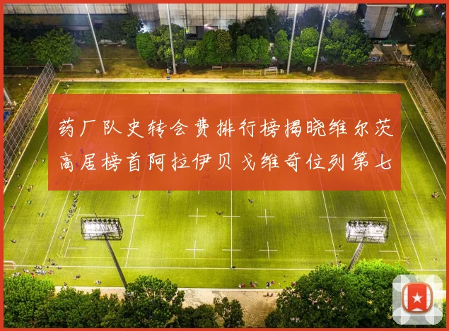 药厂队史转会费排行榜揭晓维尔茨高居榜首阿拉伊贝戈维奇位列第七